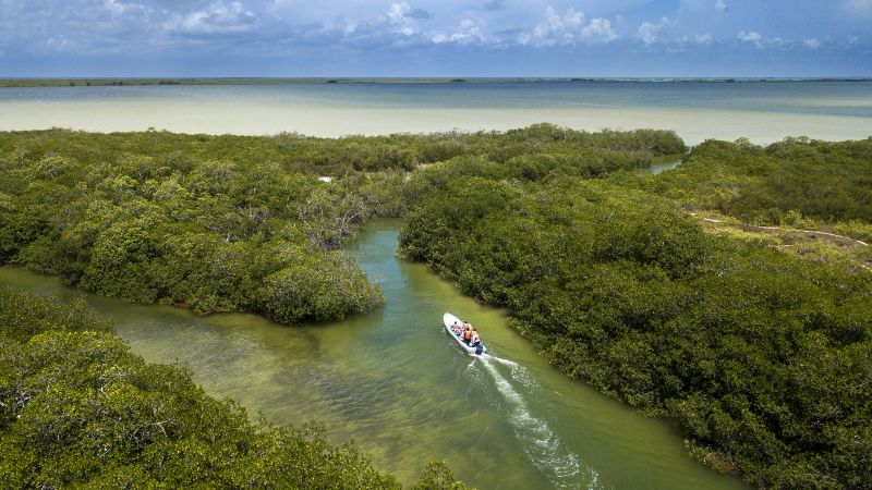 Um novo estudo descobriu que a mudança climática está fazendo com que nossos oceanos mudem de cor