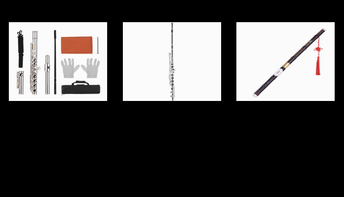 As 30 Melhores Críticas De flauta transversal Com Comparação Em – 2022