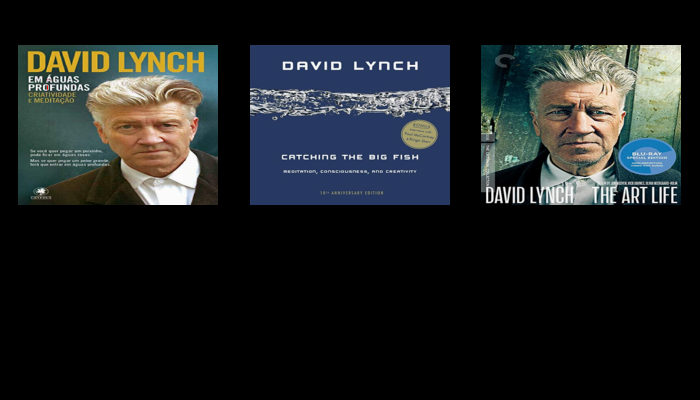 As 30 Melhores Críticas De david lynch Com Comparação Em – 2022