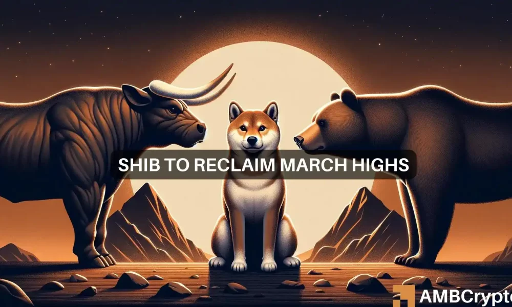 Acompanhe os próximos movimentos do Shiba Inu após o halving do Bitcoin