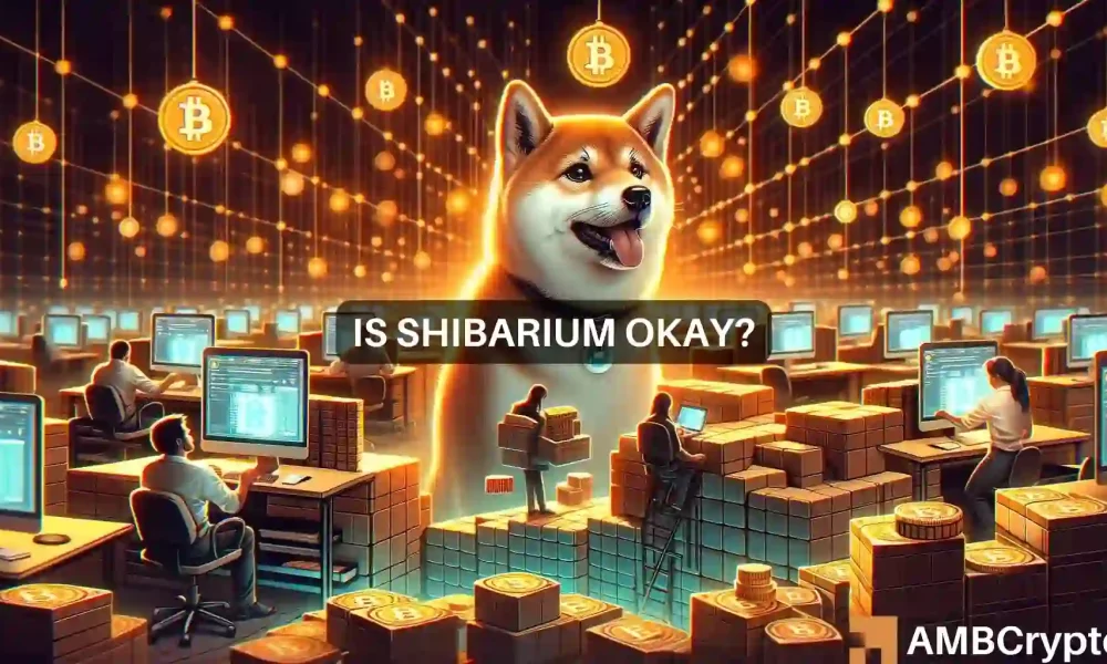 Boas notícias para Shiba Inu?  O número de missas de shibário é próximo a 5 milhões