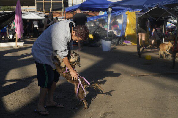 Um homem e seu cachorro se reencontram em um abrigo que oferece refúgio para cães evacuados de áreas alagadas por fortes chuvas, em Canoas, Rio Grande do Sul, Brasil, quinta-feira, 9 de maio de 2024. (AP Photo/Andre Penner)