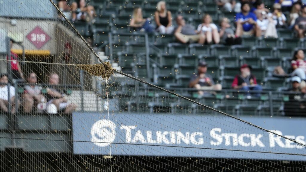 O jogo Diamondbacks vs. Dodgers é retomado após atraso dos Bees