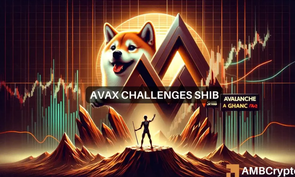 Shiba Inu vs Avalanche: AVAX ameaça a base do SHIB?