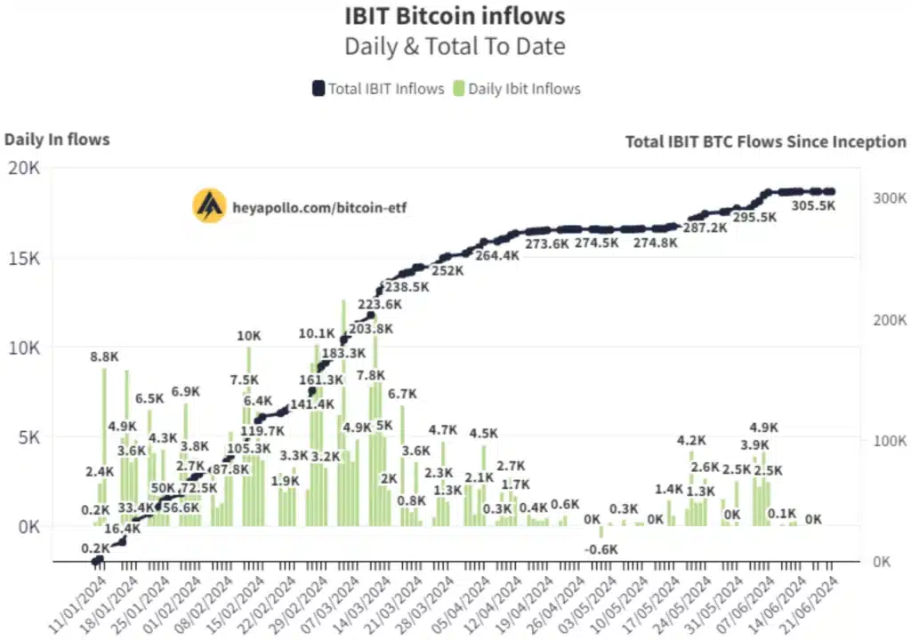 Fluxos IBIT