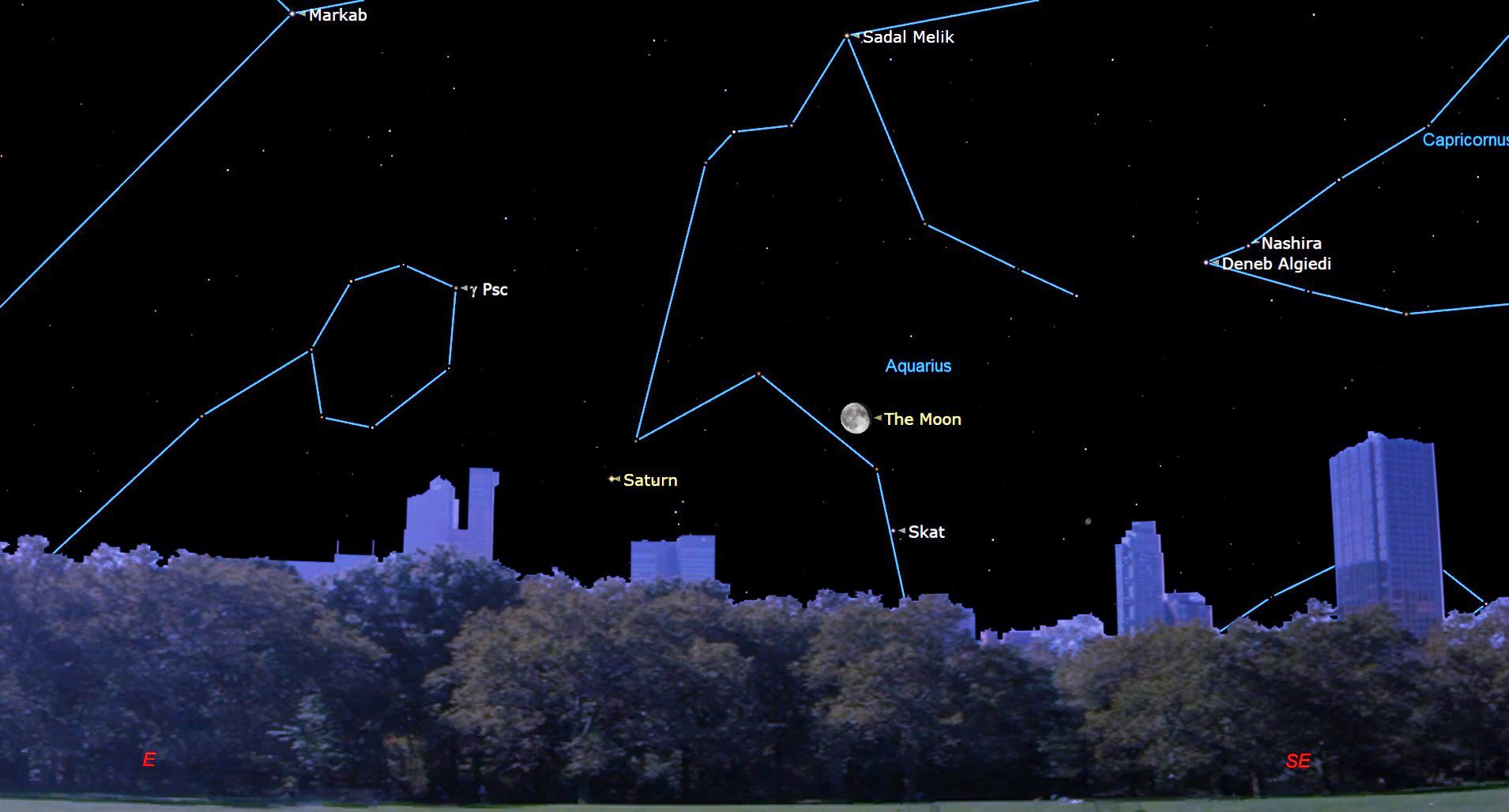 Um céu aberto e negro cheio de estrelas acima de um horizonte baixo de árvores urbanas antes dos edifícios posteriores mostram finas linhas azuis conectando as estrelas para mostrar as constelações.