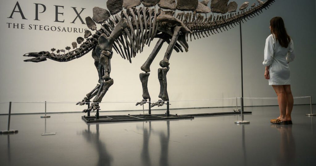 Aqui está quem comprou o dinossauro Stegosaurus “Apex” por US$ 45 milhões