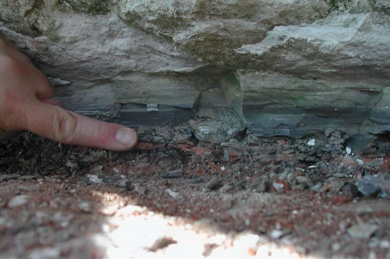 Esta imagem sem data mostra a camada limite do Cretáceo-Paleógeno, com 66 milhões de anos, em Stevens Klint, na Dinamarca, uma camada global que contém detritos do impacto do asteroide em Chicxulub, no atual México.